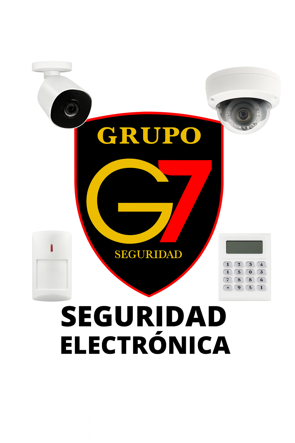 Seguridad Electronica